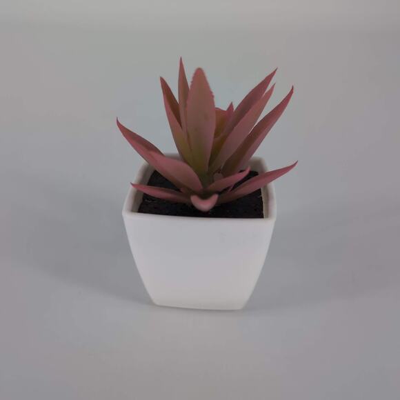 Mini Fake Faux Artificial Pink Succulent Potted Plant in Plastic White Pot - GUC - Picture 5 of 10